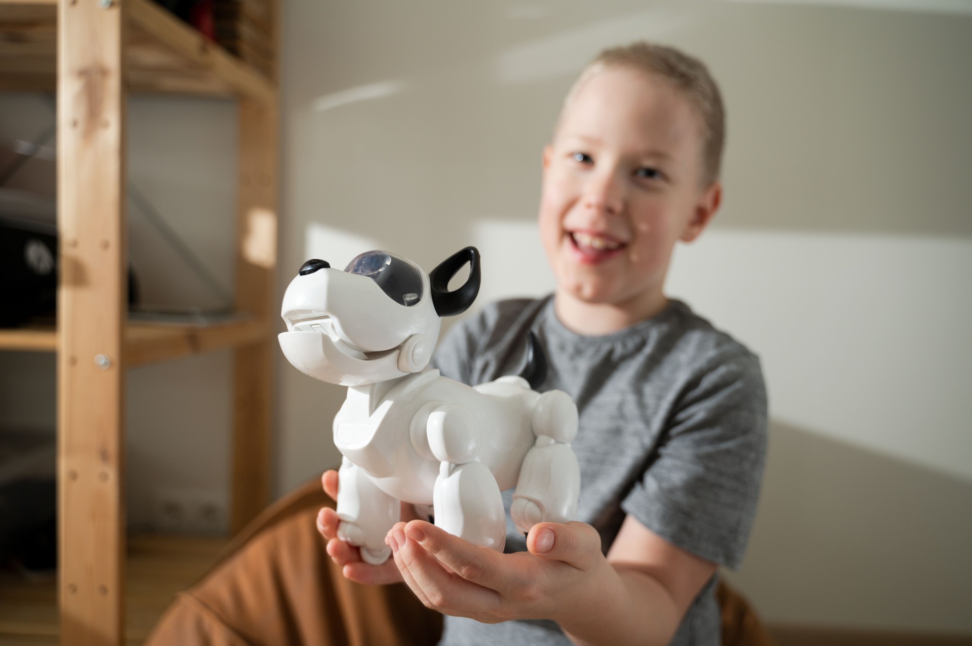Boy playing with robotic dog